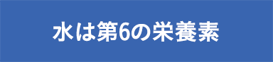 水は第6の栄養素